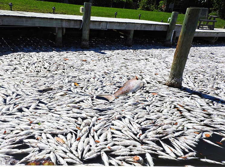 As Toxic Algae Chokes Fla Waters Into State of Emergency, Petition Urges Chain to Drop Big Sugar