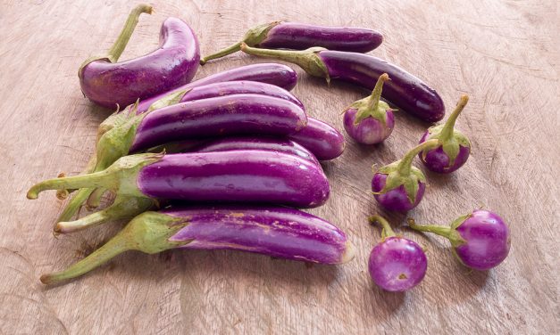 Eggplant Crunchburger [Vegan, Gluten-Free]