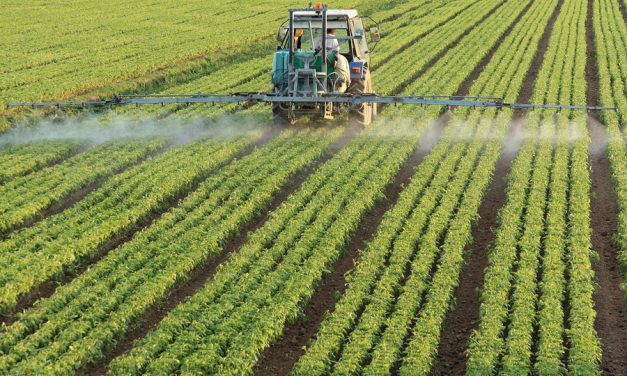 Yet Another Lawsuit Alleges Roundup Exposure Caused Non-Hodgkins Lymphoma
