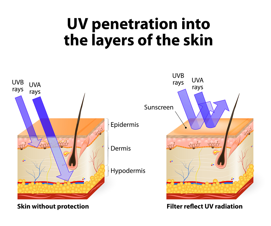 A New Compound for Sun Cream Offers Unprecedented UVA Radiation Protection