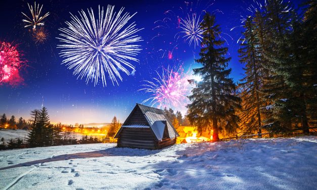 Town In Italy Switches To Silent Fireworks To Reduce Anxiety In Animals