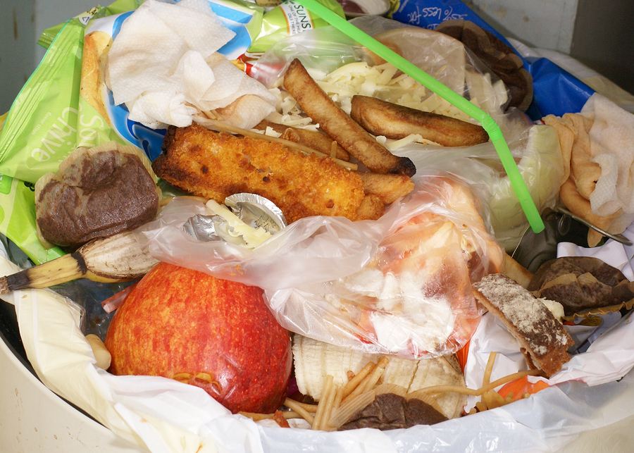 The Incredibly Wrong Reason Americans Waste So Much Food