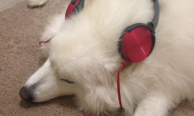 Funny or Die: NOFX Does the Best Big Pharma Song Ever, Must Watch!