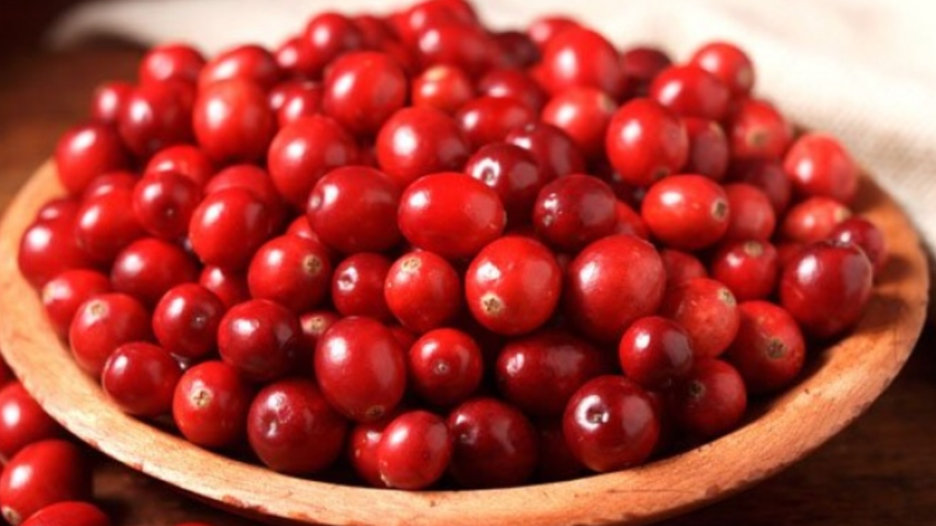 Could cranberries form the basis for new antibiotic? Compounds in juice ‘CAN stop bacterial infections’
