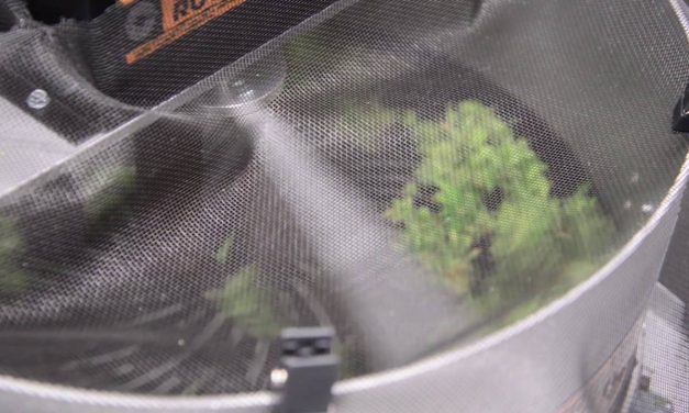 ABC:First medical marijuana available next week in Florida (VIDEO)