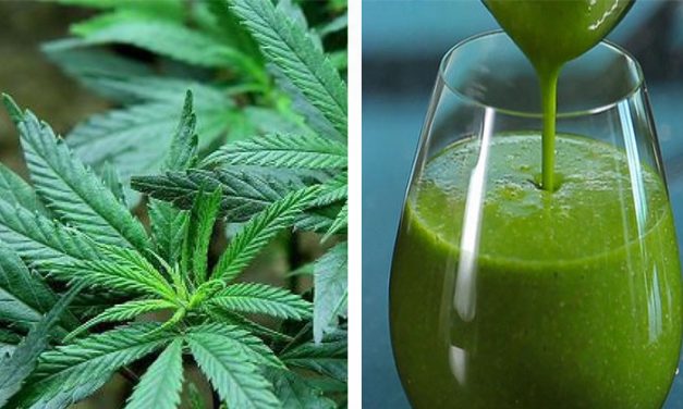 4 Surprising Health Benefits of Juicing Raw Marijuana
