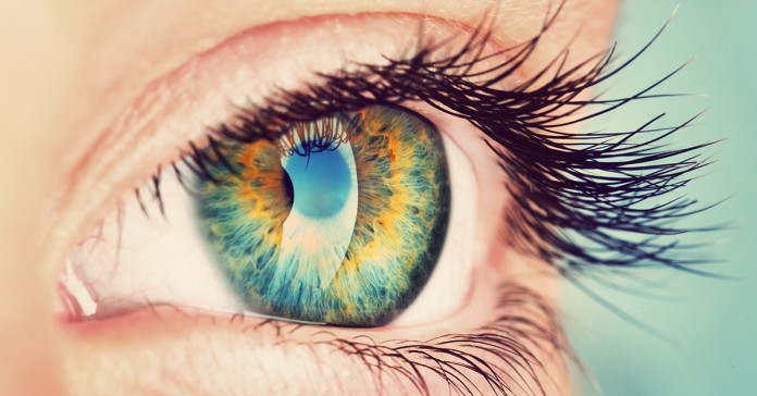 Confirmed: The Human Eye Emits Light (Biophotons)
