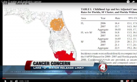 FOX4: Children in SW Florida 36% Higher Risk of Getting Cancer Than Rest of State – Is this why?