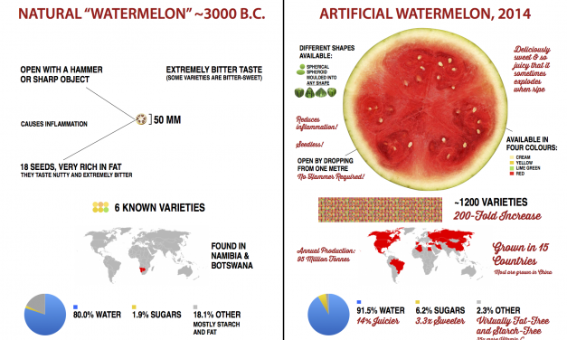 Fruits and Vegetables BEFORE We Domesticated Them
