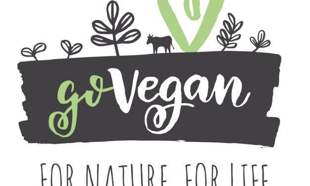 The 17 Best Protein Sources For Vegans and Vegetarians