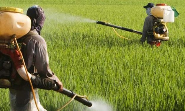 Monsanto knew 35 years ago that its glyphosate-soaked ‘food’ causes cancer
