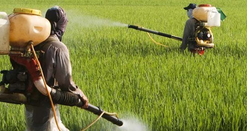 Monsanto knew 35 years ago that its glyphosate-soaked ‘food’ causes cancer