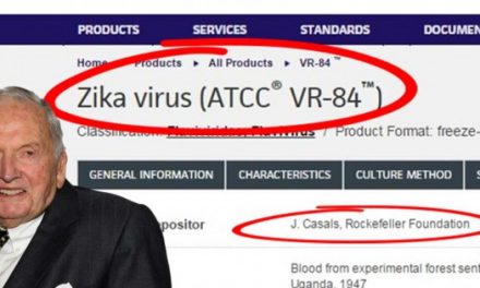 Rockefeller University Claims Their New Research Shows Zika Goes to your BRAIN! (but of course)