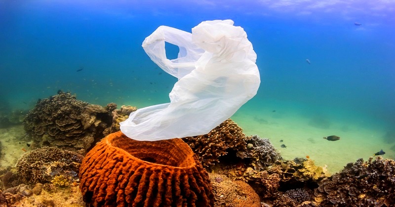 Hawaii Has Banned Plastic Bags At Grocery Checkouts!