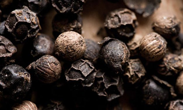 5 Non-Marijuana Plants That Also Contain Healing Cannabinoids