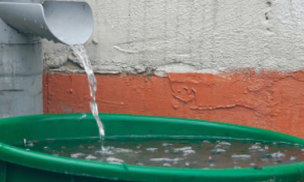 60 percent of China’s drinking water too polluted to drink; this is where many of your herbs, protein powders and superfoods are grown