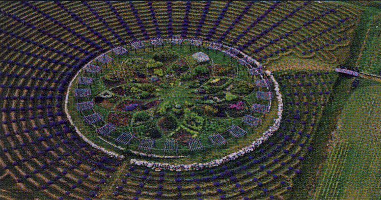 West Michigan Is Home to a Giant Lavender Labyrinth