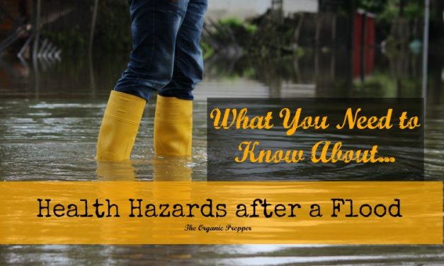 What You Need to Know About Health Hazards After a Flood