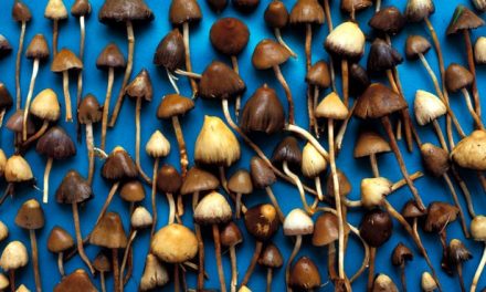 This Is What It Feels Like to Treat Depression with Magic Mushrooms