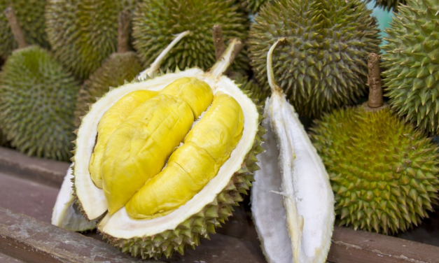 Durian Fruit – Smelly, But Also Incredibly Nutritious