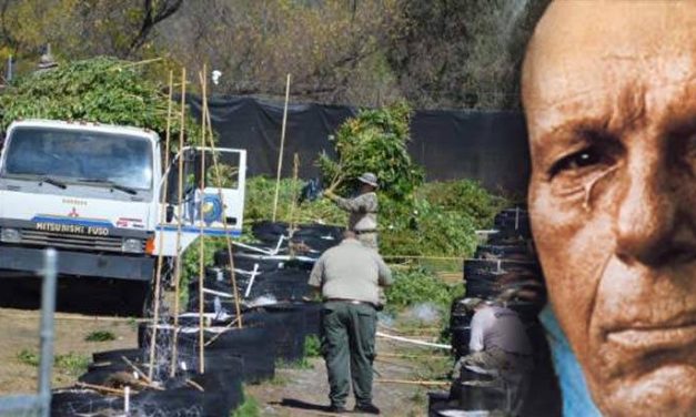 US Cops Raid Native American Reservation, Destroy their Medicine and Eradicate Entire Industry