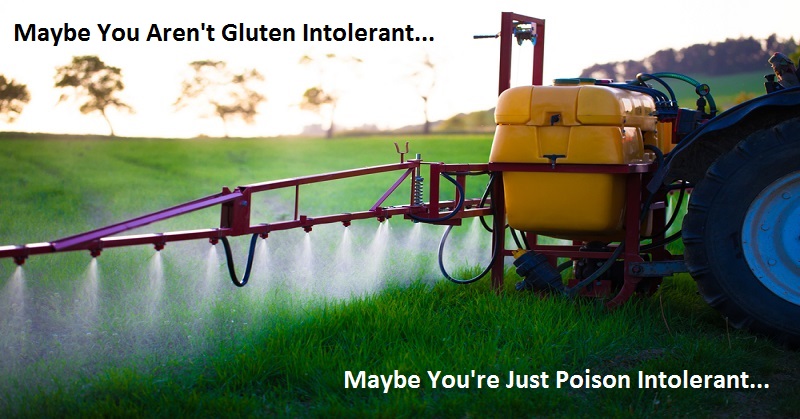 Maybe You Aren’t Gluten Intolerant. Maybe You’re Just Poison Intolerant.