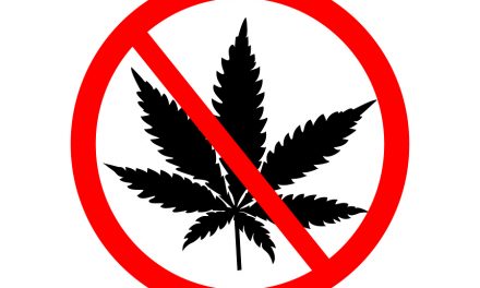 Pharma Company Funding Anti-Pot Campaign, Admits to Govt that Legal Weed Kills Their Profit