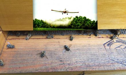 S. Carolina Prepares For Another Dose of Bee Killing Aerial Zika Spray