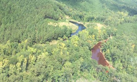 NBC: Alabama, Georgia declare state of emergency after pipeline spill – Expect Gas Price Hike