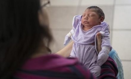 No link between microcephaly babies and Zika