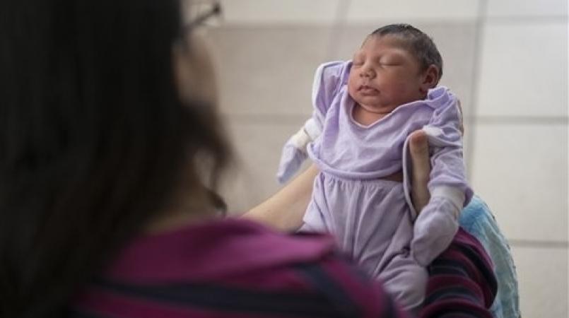 No link between microcephaly babies and Zika