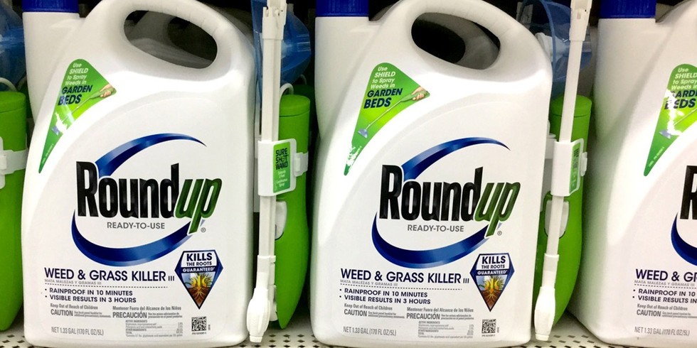 Fox 4: Woman exposed to weed killer chemical, now battling cancer, vows to fight Monsanto to her last breath