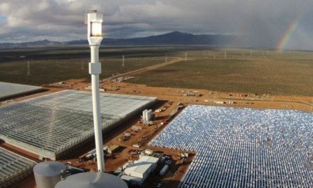 This Groundbreaking Farm is the First in the World to Produce Veggies with Only Sunlight and Saltwater