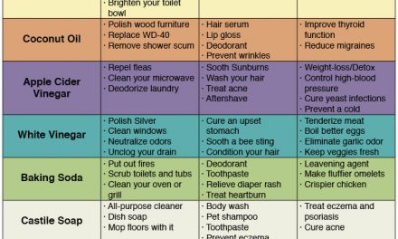 72 Uses For Simple Household Products That Will Help You Save Money & Avoid Toxins