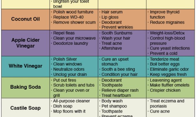 72 Uses For Simple Household Products That Will Help You Save Money & Avoid Toxins