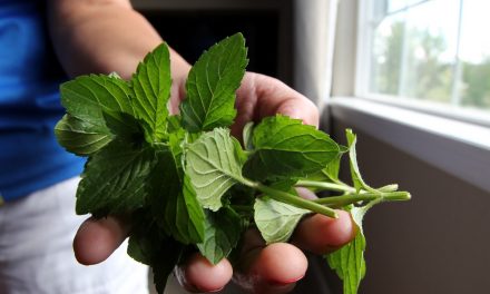 Can Peppermint Improve Athletic Performance?