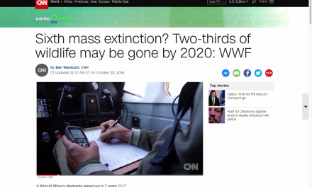 CNN: Two Thirds of All Wildlife May Be Gone by 2020