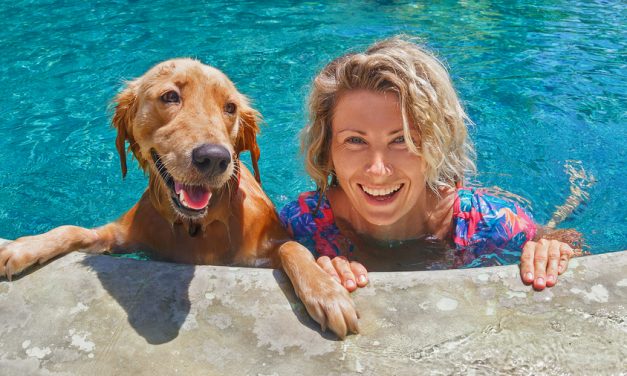 Study finds losing a pet is as hard as losing a family member