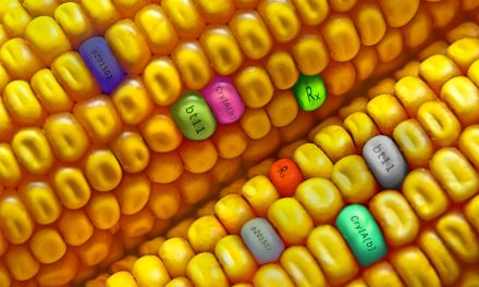 Victory! U.S. Court of Appeals Votes to Allow Local Governments to BAN GMO Crops