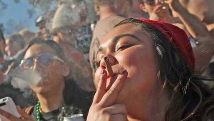 Revenue Soars, Crime Rate Falls as Colorado Indulges in Recreational Marijuana