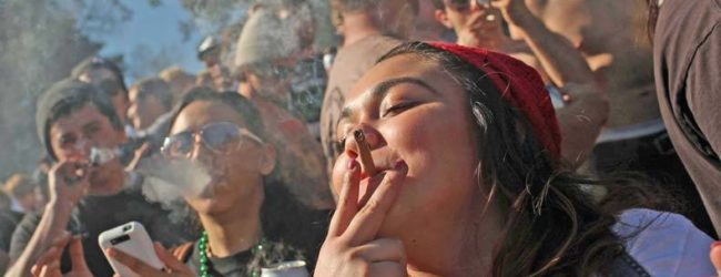 Revenue Soars, Crime Rate Falls as Colorado Indulges in Recreational Marijuana