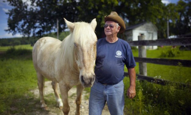 A Blind Horse and His Best Friend