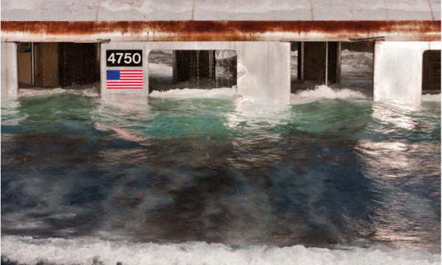 Retired Subway Cars And Planes Are Being Repurposed Into Thriving Underwater Ecosystems