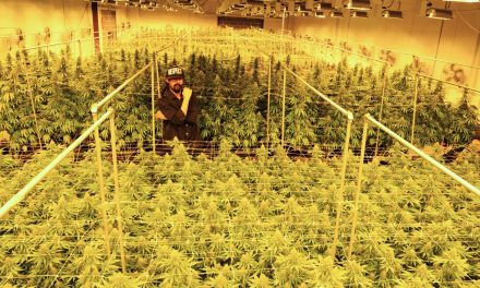 Damian Marley Is Converting A California Prison Into A Pot Farm