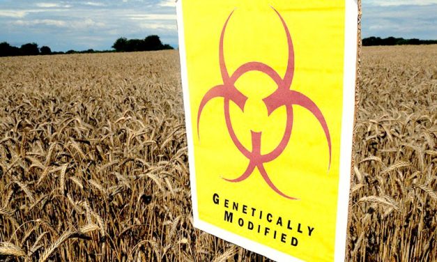 Local Governments Can Prohibit GE Crops, Says U.S. Court of Appeals