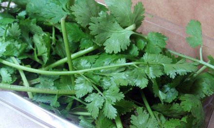 Cilantro can Remove 80% of Heavy Metals from the Body