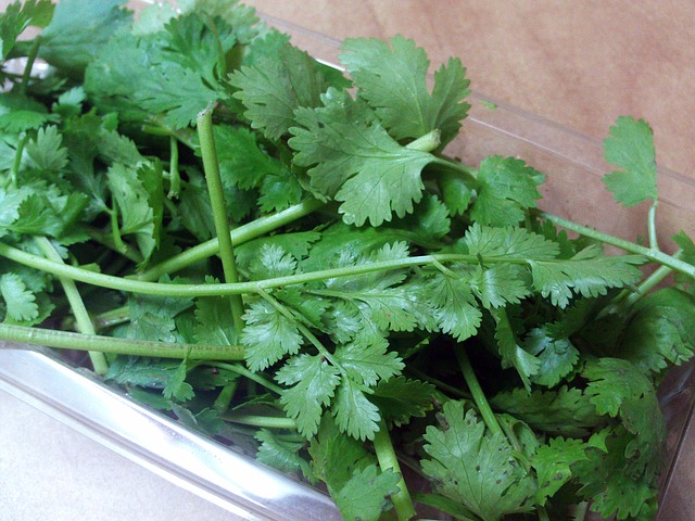 Cilantro can Remove 80% of Heavy Metals from the Body