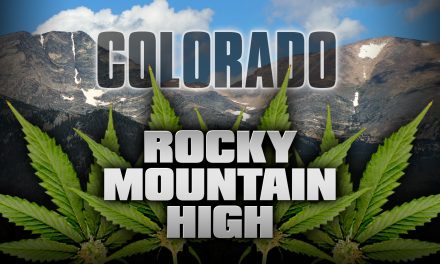 New Report Shows Colorado Cannabis Industry Contributes More To Economy Than All Other Industries