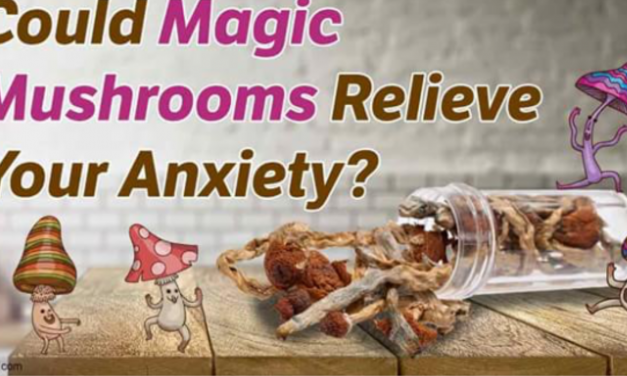 Magic Mushroom Drug Lifted Depression/Anxiety in Cancer Patients
