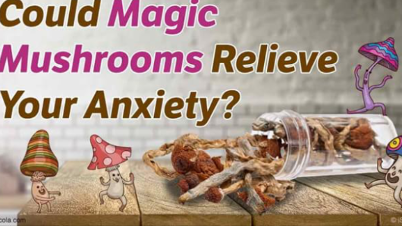 Magic Mushroom Drug Lifted Depression/Anxiety in Cancer Patients